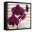 Purple Orchids I-Nicole Katano-Framed Stretched Canvas
