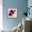 Purple Orchids I-Nicole Katano-Framed Photo displayed on a wall