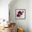 Purple Orchids I-Nicole Katano-Framed Photo displayed on a wall