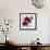 Purple Orchids I-Nicole Katano-Framed Photo displayed on a wall