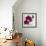 Purple Orchids I-Nicole Katano-Framed Photo displayed on a wall