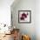 Purple Orchids I-Nicole Katano-Framed Photo displayed on a wall