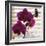 Purple Orchids I-Nicole Katano-Framed Photo