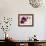 Purple Orchids II-Nicole Katano-Framed Photo displayed on a wall