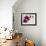 Purple Orchids II-Nicole Katano-Framed Photo displayed on a wall