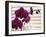 Purple Orchids II-Nicole Katano-Framed Photo