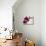 Purple Orchids II-Nicole Katano-Mounted Photo displayed on a wall