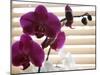 Purple Orchids II-Nicole Katano-Mounted Photo