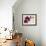 Purple Orchids II-Nicole Katano-Framed Photo displayed on a wall