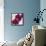 Purple Orchids III-Nicole Katano-Framed Stretched Canvas displayed on a wall