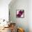 Purple Orchids III-Nicole Katano-Framed Stretched Canvas displayed on a wall