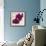 Purple Orchids III-Nicole Katano-Framed Photo displayed on a wall