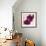 Purple Orchids III-Nicole Katano-Framed Photo displayed on a wall