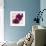 Purple Orchids III-Nicole Katano-Framed Photo displayed on a wall