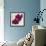 Purple Orchids III-Nicole Katano-Framed Photo displayed on a wall