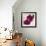 Purple Orchids III-Nicole Katano-Framed Photo displayed on a wall