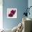 Purple Orchids III-Nicole Katano-Framed Photo displayed on a wall