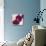 Purple Orchids III-Nicole Katano-Mounted Photo displayed on a wall