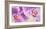 Purple Orchids-Cynthia Ann-Framed Giclee Print