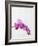 Purple orchids-Steve Hix-Framed Photographic Print