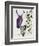 Purple Owl with Antlers-Fab Funky-Framed Art Print