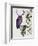 Purple Owl with Antlers-Fab Funky-Framed Art Print