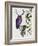 Purple Owl with Antlers-Fab Funky-Framed Art Print