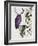 Purple Owl with Antlers-Fab Funky-Framed Art Print