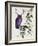 Purple Owl with Antlers-Fab Funky-Framed Art Print