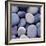 Purple Pebbles-null-Framed Photographic Print