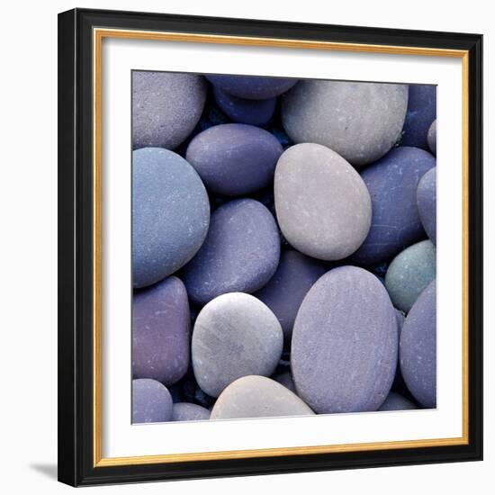 Purple Pebbles-null-Framed Photographic Print