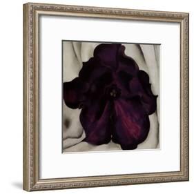 Purple Petunia, 1925-Georgia O'Keeffe-Framed Art Print