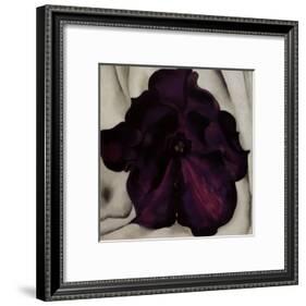 Purple Petunia, 1925-Georgia O'Keeffe-Framed Art Print