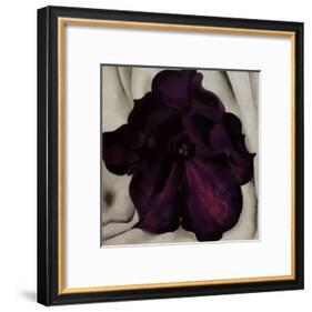 Purple Petunia, 1925-Georgia O'Keeffe-Framed Art Print
