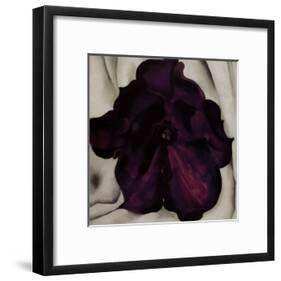 Purple Petunia, 1925-Georgia O'Keeffe-Framed Art Print