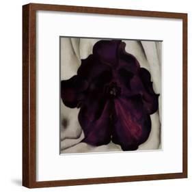 Purple Petunia, 1925-Georgia O'Keeffe-Framed Art Print