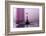 Purple Pink-Heidi Westum-Framed Photographic Print