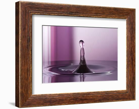 Purple Pink-Heidi Westum-Framed Photographic Print