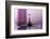 Purple Pink-Heidi Westum-Framed Photographic Print