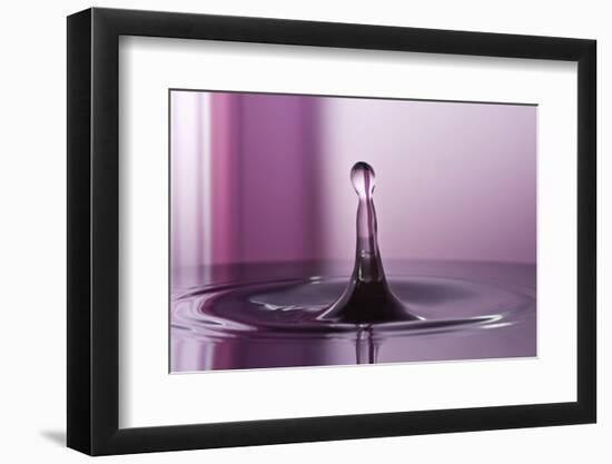 Purple Pink-Heidi Westum-Framed Photographic Print