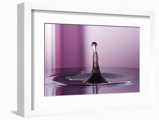 Purple Pink-Heidi Westum-Framed Photographic Print