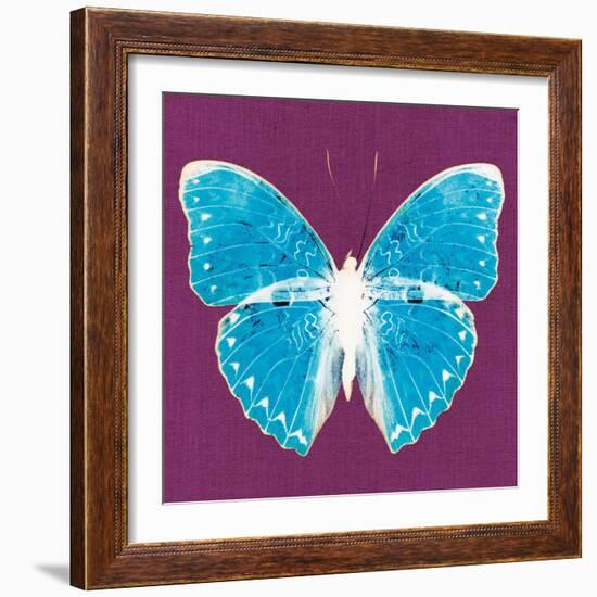 Purple Pop Butterfly-Christine Caldwell-Framed Art Print