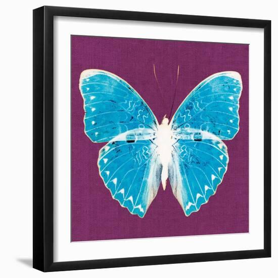 Purple Pop Butterfly-Christine Caldwell-Framed Art Print