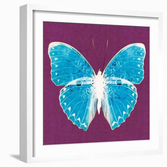 Purple Pop Butterfly-Christine Caldwell-Framed Art Print