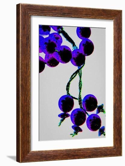 Purple Prayer Beads, from the Series Misbaha, 2016-Joy Lions-Framed Giclee Print