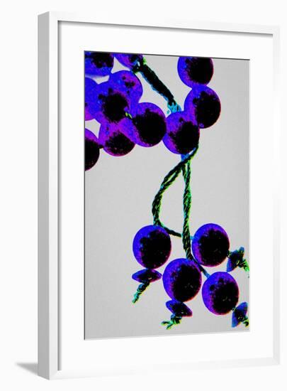 Purple Prayer Beads, from the Series Misbaha, 2016-Joy Lions-Framed Giclee Print