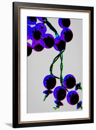 Purple Prayer Beads, from the Series Misbaha, 2016-Joy Lions-Framed Giclee Print