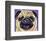 Purple Pug-Kathryn Wronski-Framed Art Print