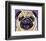 Purple Pug-Kathryn Wronski-Framed Art Print