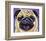 Purple Pug-Kathryn Wronski-Framed Art Print